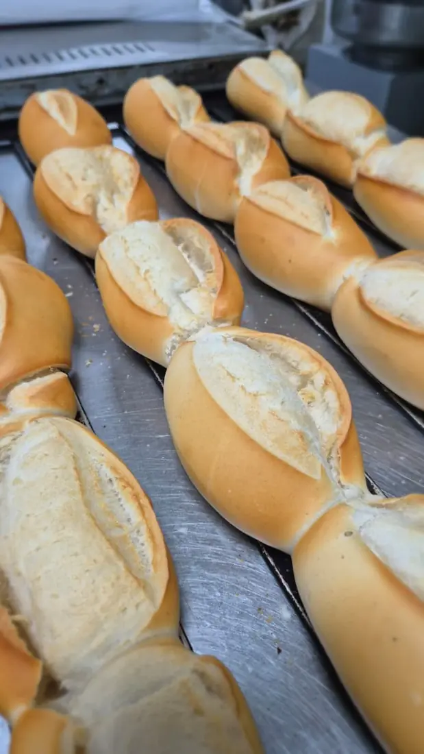 Pães franceses fresquinhos na bandeja